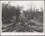 Muddy road, McIntosh County, Oklahoma