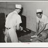 Preparing rolls for baking. Bakery, San Angelo, Texas