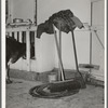 Equipment in milking house of large dairy. Tom Green County, Texas