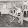 Floor of milking house is swept between each group of cows milked. Large dairy, Tom Green County, Texas