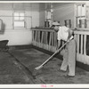 Floor of milking house is swept between each group of cows milked. Large dairy, Tom Green County, Texas