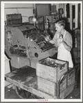 Washing bottles at creamery. San Angelo, Texas