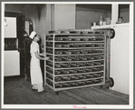 Moving trayload of bread and rolls into the rising compartment, which has regulated temperatures. Bakery, San Angelo, Texas