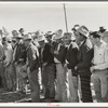 West Texans at Palomino horse auction. El Dorado, Texas