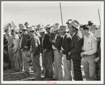 West Texans at Palomino horse auction. El Dorado, Texas