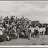 Crowd at horse auction. El Dorado, Texas