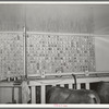 Milking record of each cow is kept on this chart at a large dairy in Tom Green County, Texas
