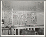 Milking record of each cow is kept on this chart at a large dairy in Tom Green County, Texas