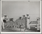 Roll making machine. Bakery, San Angelo, Texas