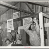 Auctioneer at livestock auction at San Angelo, Texas, is removing slip which tells the auctioneer clerk which animal is being sent in for auction