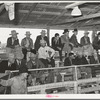 Spectators and buyers at livestock auction. San Angelo, Texas