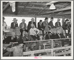 Spectators and buyers at livestock auction. San Angelo, Texas