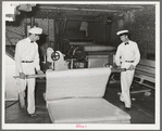 Unrolling cotton batting. Mattress factory, San Angelo, Texas