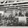 Livestock auction, San Angelo, Texas. Notice that picture includes spectators, auctioneer and livestock
