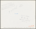 Livestock auction, San Angelo, Texas. Notice that picture includes spectators, auctioneer and livestock
