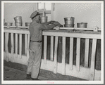 Attendant dumping bucketfull of cattle ration into feed stalls for cows to eat while being milked. Dairy, Tom Green County, Texas