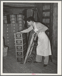 Loading cartons of groceries on truck at wholesale grocery. San Angelo, Texas