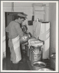 Straining milk at large dairy in Tom Green County, Texas