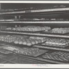 Back of bakery goods at bakery. San Angelo, Texas