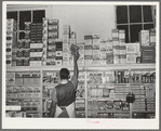 Placing packaged goods on display rack. Retail grocery, San Angelo, Texas