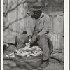 Pomp Hall, Negro tenant farmer, shelling seed corn. Creek County, Oklahoma