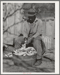 Pomp Hall, Negro tenant farmer, shelling seed corn. Creek County, Oklahoma