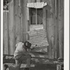 Pomp Hall, Negro tenant farmer, repairing piece of tin which covers window of his house. Creek County, Oklahoma