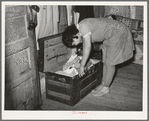 Daughter of Pomp Hall, Negro tenant farmer, looking through trunk of clothing. Creek County, Oklahoma