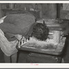 Daughter of Pomp Hall, Negro tenant farmer, blowing on fire to make it catch. Creek County, Oklahoma