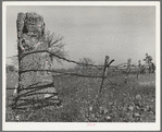 Fence made of old oil well cable. Creek County, Oklahoma