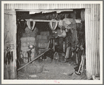 Scene in feed mill and secondhand farm equipment shop. Oklahoma City, Oklahoma