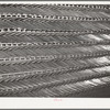 Plow points. Farm equipment warehouse, Oklahoma City, Oklahoma
