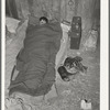 Cowboy asleep in cattle show barn at San Angelo Fat Stock Show. San Angelo, Texas. At nearby all stock shows the working cowboys bring along their camp beds and sleep in the barns
