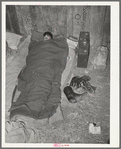 Cowboy asleep in cattle show barn at San Angelo Fat Stock Show. San Angelo, Texas. At nearby all stock shows the working cowboys bring along their camp beds and sleep in the barns
