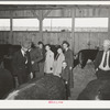 A family group looking at beef steers on display at the San Angelo Fat Stock Show. San Angelo, Texas
