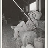 Cowboy resting on hay and rolled up camp bed at the barn at San Angelo Fat Stock Show, San Angelo, Texas