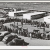 Ring of people watching the judging of horses at the San Angelo Fat Stock Show. San Angelo, Texas. Many polo ponies are bred and raised in west Texas