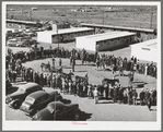 Ring of people watching the judging of horses at the San Angelo Fat Stock Show. San Angelo, Texas. Many polo ponies are bred and raised in west Texas