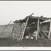 Cowshed on farm of negro farmer in McIntosh County, Oklahoma