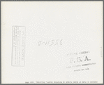 Cowshed on farm of negro farmer in McIntosh County, Oklahoma