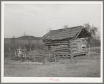 Log barn of Negro farmer in McIntosh County, Oklahoma