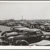 Parked cars at the San Angelo Fat Stock Show. San Angelo, Texas