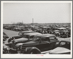 Parked cars at the San Angelo Fat Stock Show. San Angelo, Texas