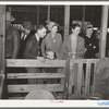 Visitors in the sheep barns at the San Angelo Fat Stock Show. San Angelo, Texas