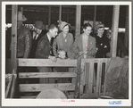 Visitors in the sheep barns at the San Angelo Fat Stock Show. San Angelo, Texas