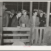Visitors in the sheep barns at the San Angelo Fat Stock Show. San Angelo, Texas