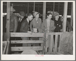 Visitors in the sheep barns at the San Angelo Fat Stock Show. San Angelo, Texas