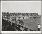 Parade of horses which won ribbons in the show. San Angelo, Texas