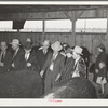 Visitors admiring prize beef steers at the San Angelo Fat Stock Show. San Angelo, Texas