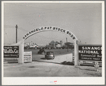 Entrance gate to the San Angelo Fat Stock Show. San Angelo, Texas